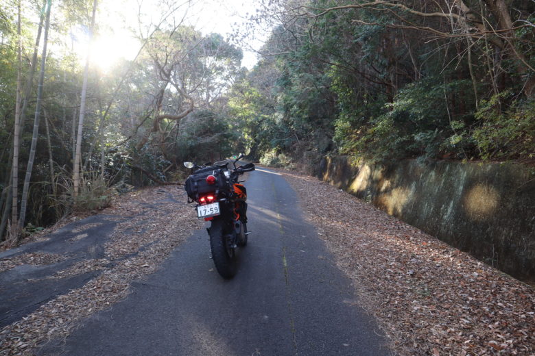 林道柏原山線を山頂に向けて走っていく