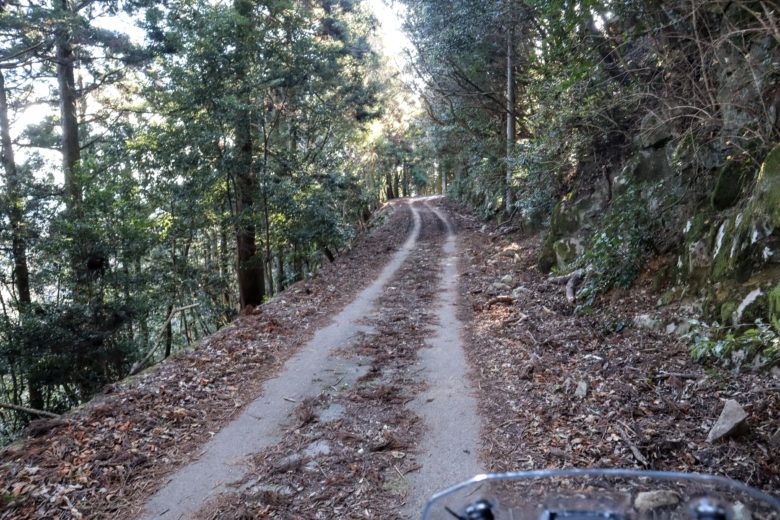 林道柏原山線は展望台を境に、由良町側は一気に林道ぽくなって雰囲気が変わる。